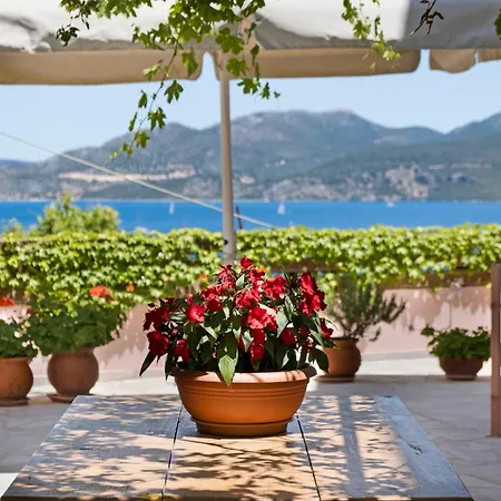 Tasoula With Sea View 1 Apartament *