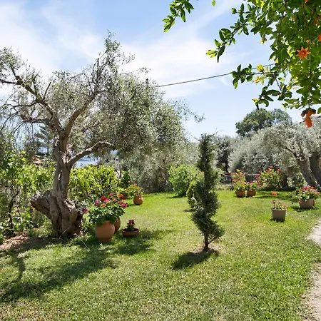 Apartmán Tasoula With Sea View 1 *